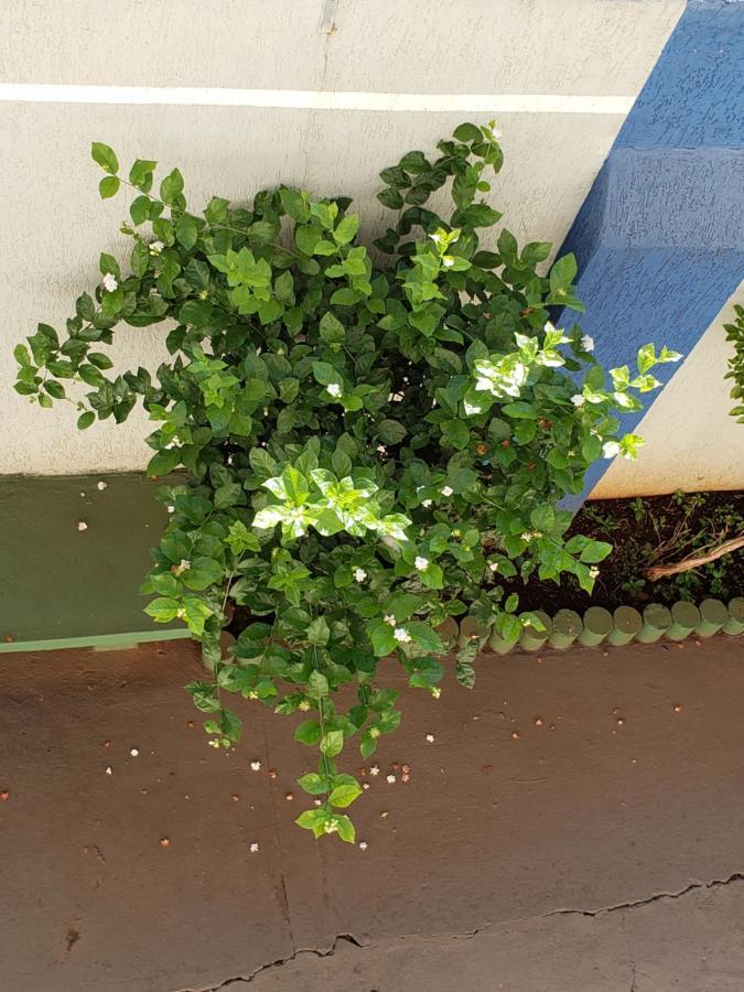 Hotel Flamboia アララクアラ エクステリア 写真